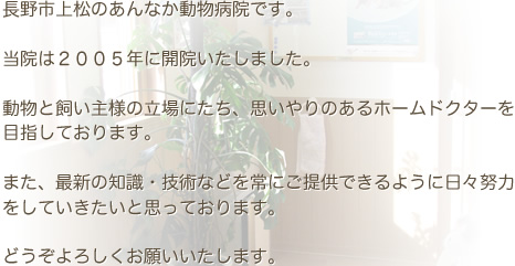 長野市上松のあんなか動物病院です。