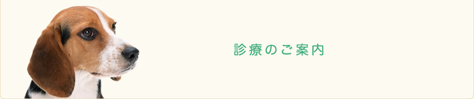 診療のご案内
