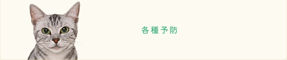 各種予防