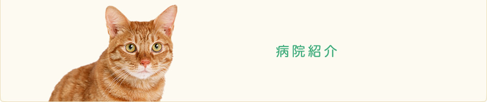 病院紹介